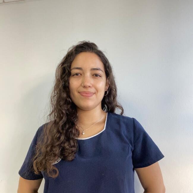 Niñera en Santiago de Chile: Evelyn