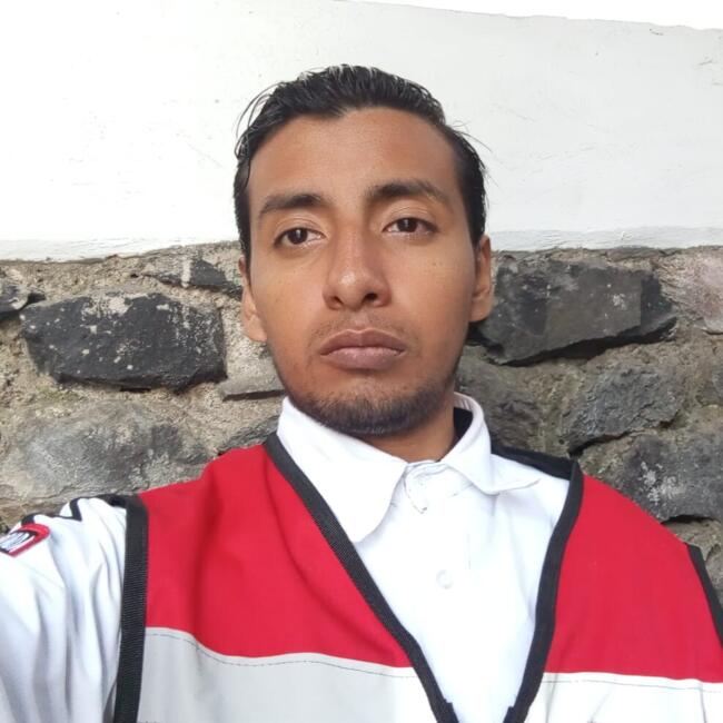 Babysitting job in Mexico City: Hannz