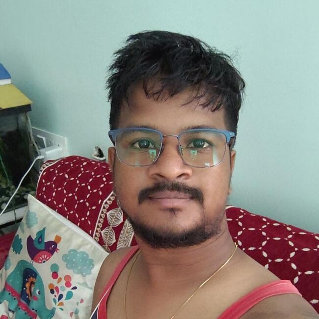 हैदराबाद में बेबीसिटिंग की नौकरी: Santanu
