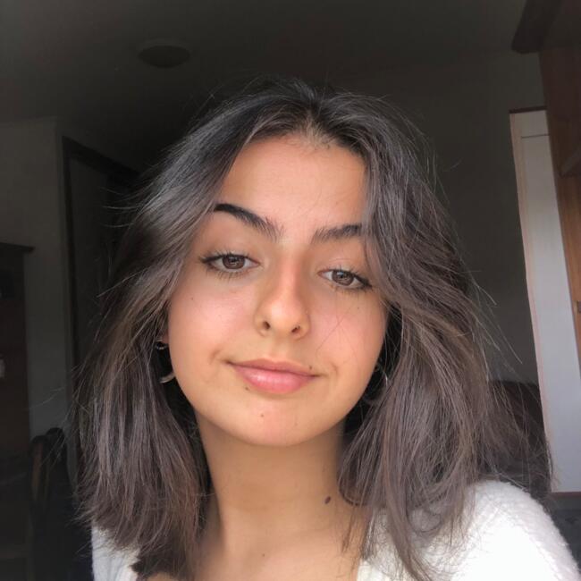 Babysitter em Caldas da Rainha: Laura