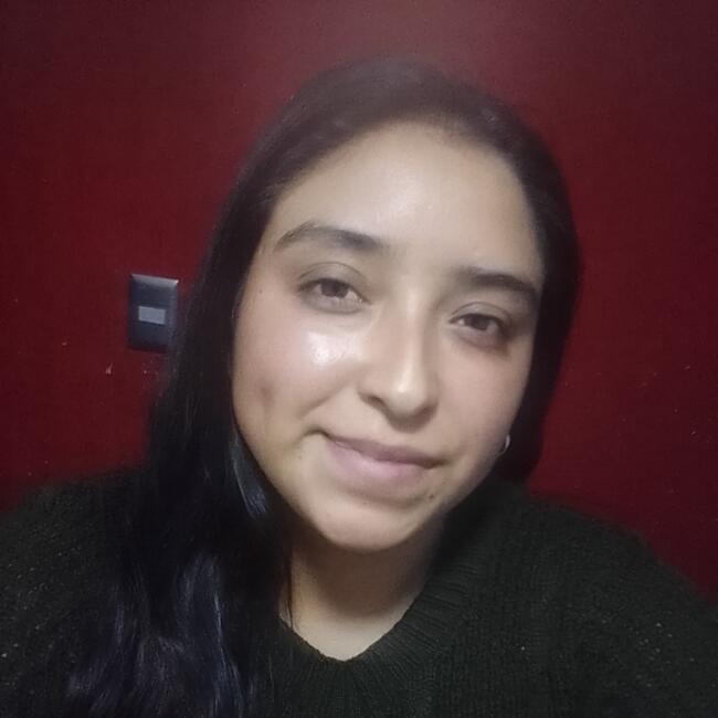 Niñera en Zinacantepec: Esmeralda
