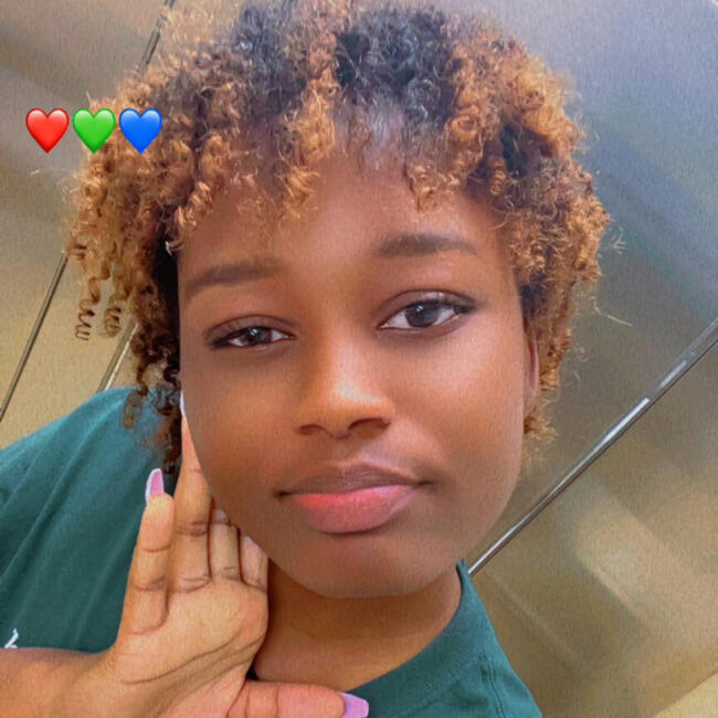 Babysitter in West Palm Beach: Dieunica