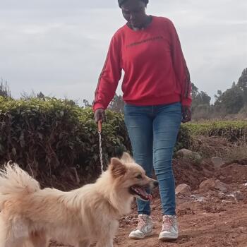 Babysitter in Limuru: Carolyne