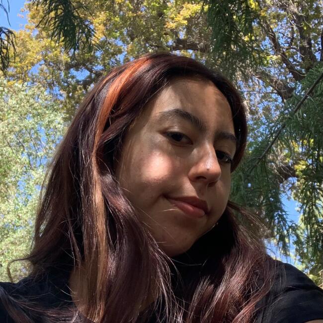 Babysitter in Curicó: Michelle