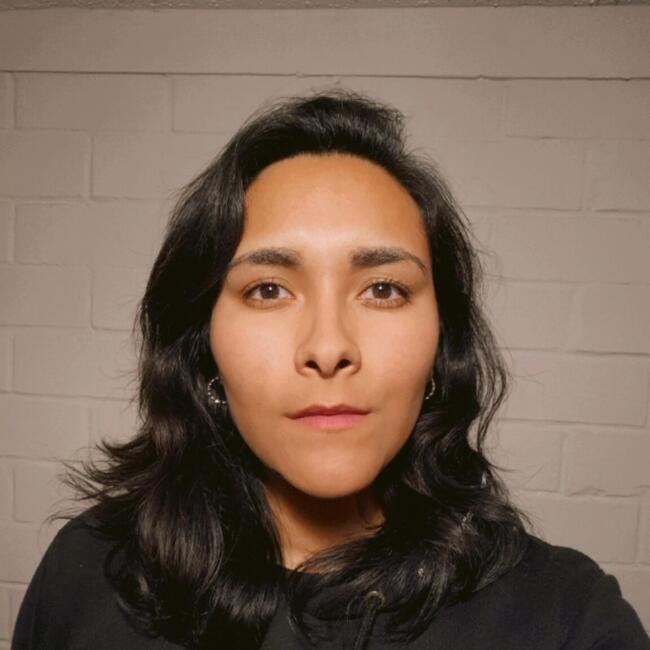 Babysitter in Santiago: Michelle