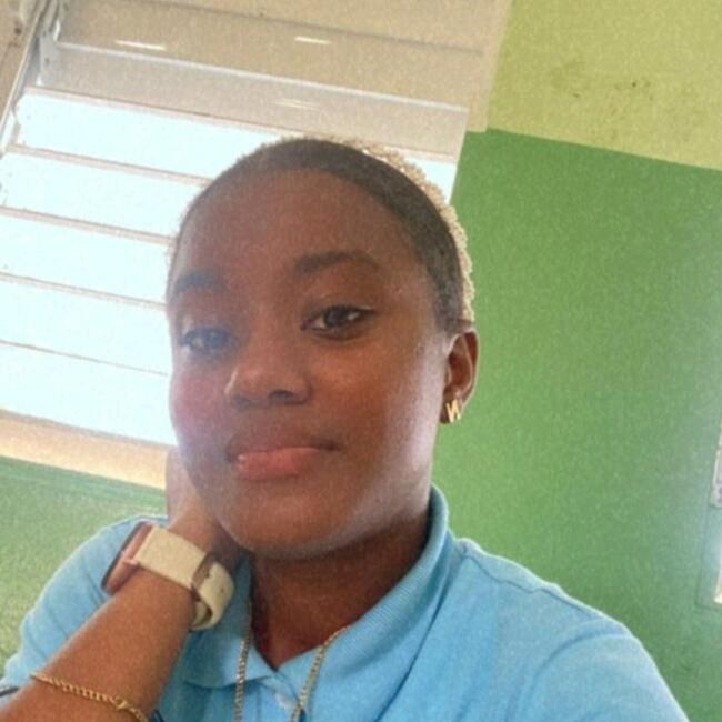 Babysitter in Santo Domingo: Elianny lisbeth