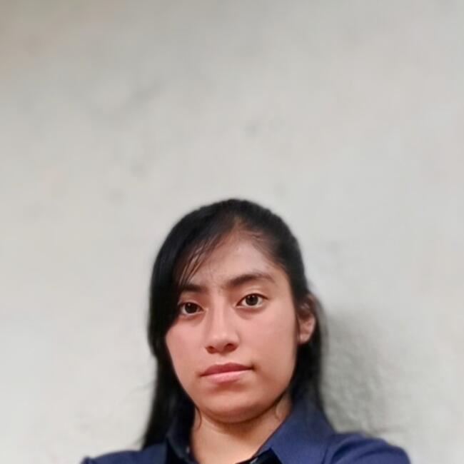 Niñera en Adolfo López Mateos: Rosalinda