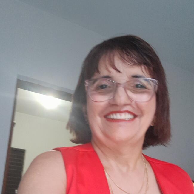 Babysitter in Presidente Prudente: Judite Alves