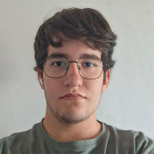 Babysitter in Leiria: Lucas