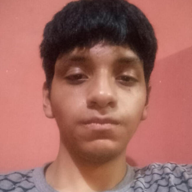 Trabajo para niñera en Comas (Departamento de Lima): Franko