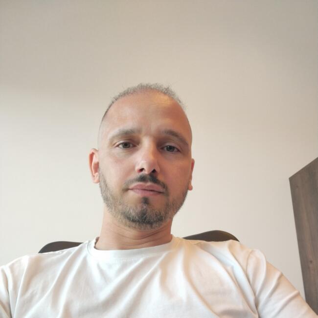 Babysitting job in São João de Ver: Filipe