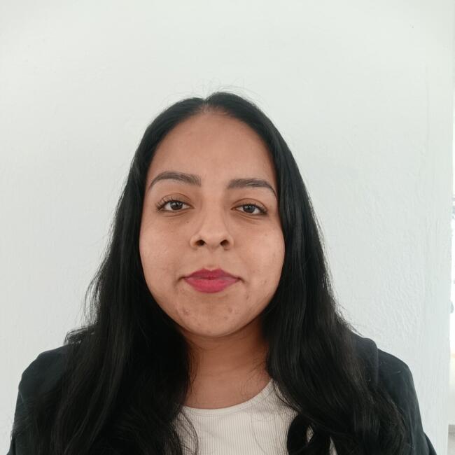 Babysitter in Colonia Álvaro Obregón: Lizeth