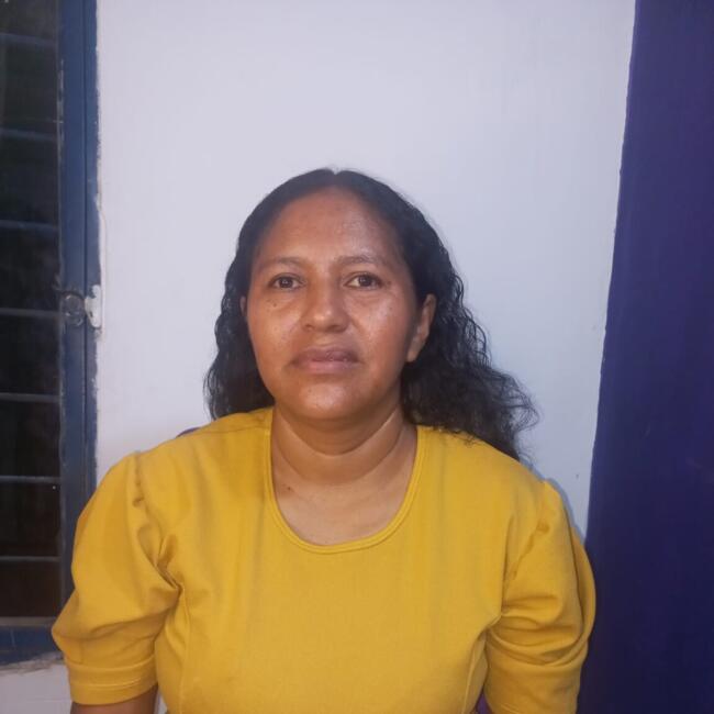 Babysitter in Santiago de Cali: Luz Dary