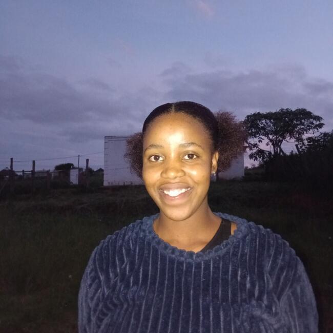 Babysitting job in Wausaukee: Phindile