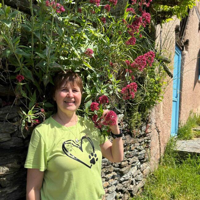 Babysitter in Lessines: Sylvie