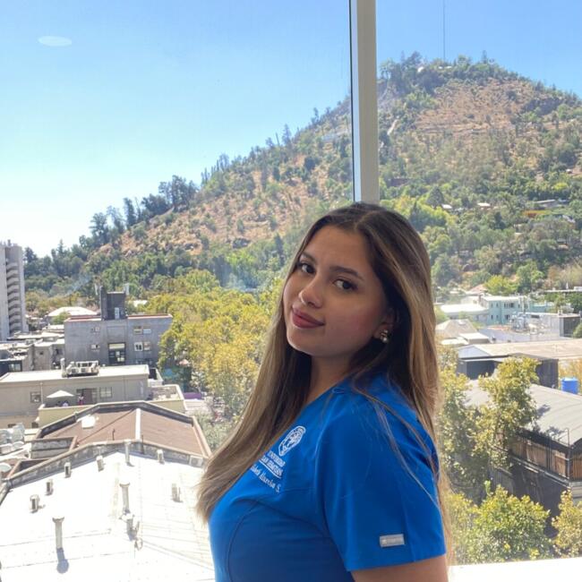 Babysitter in Santiago: Lisbeth