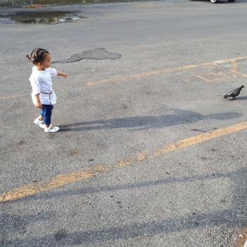 Lavori per babysitter a Prato: lavoro per babysitter La piccola