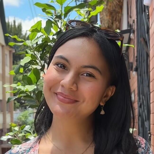 Babysitter in Angers: Diary