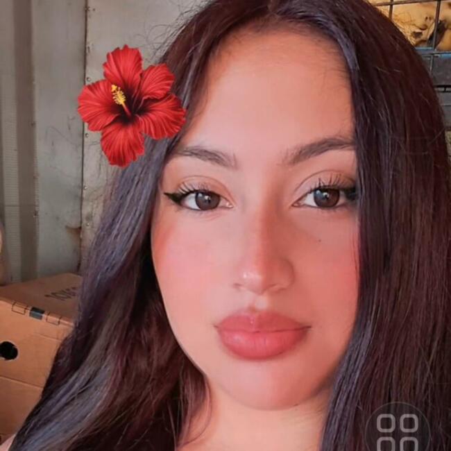 Babysitter in Viña del Mar: Lissette