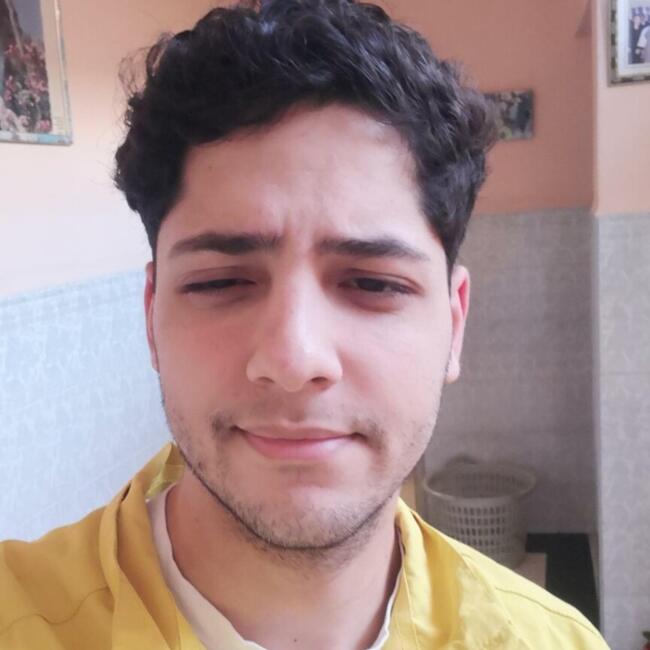 Babysitter in Dchira (إقليم إنزكان أيت ملول): Hatim