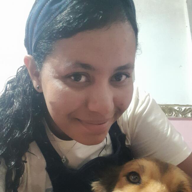 Babysitter in Anápolis: Elen domingos