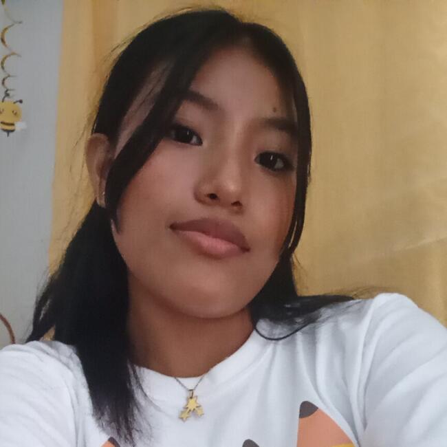 Babysitter in Vista Alegre: Noraine
