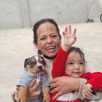 Babysitting job in Magdalena (Departamento de Cajamarca): babysitting job Haziel