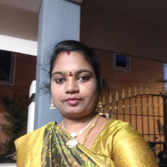 चेन्नई में बेबीसिटर: Rohini.s