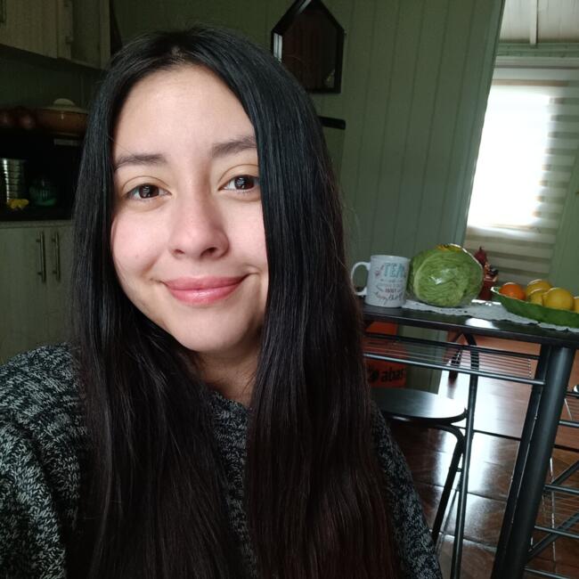 Babysitter in Valdivia: Scarlet