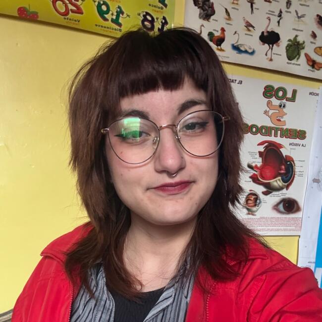 Babysitter in Santiago: Bárbara