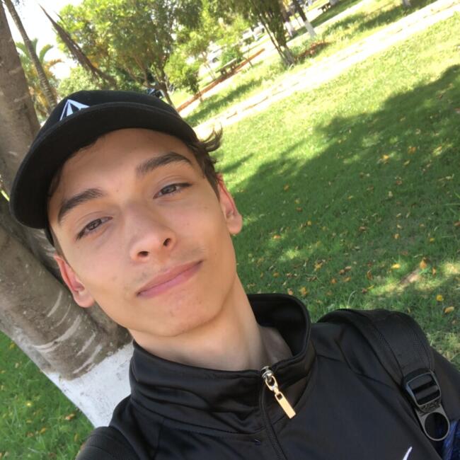 Emprego de babá em Mogi Guaçu: LUIS RENATO