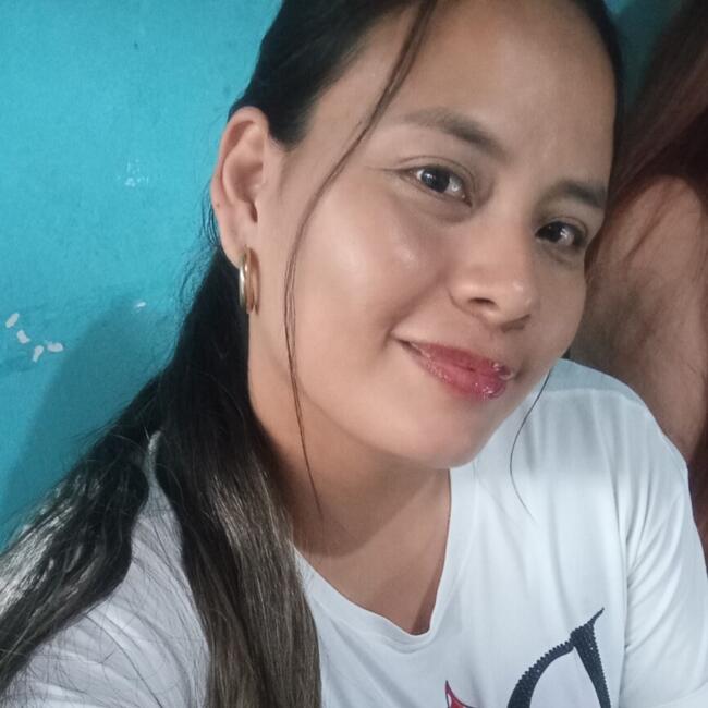 Babysitting job in Santiago de Cali: Nana