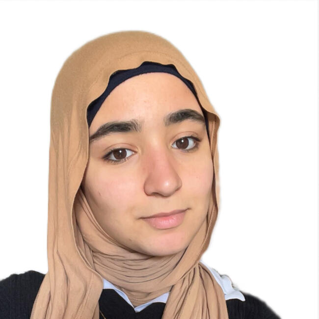 Babysitter in Perl: Zaynab