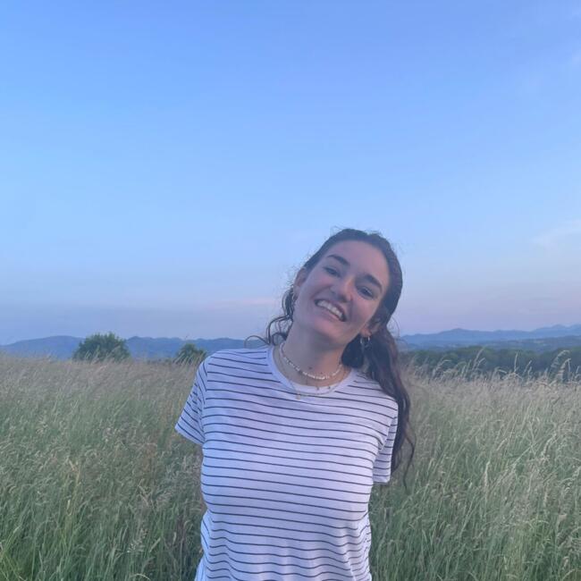 Babysitter in Bordeaux: Romane