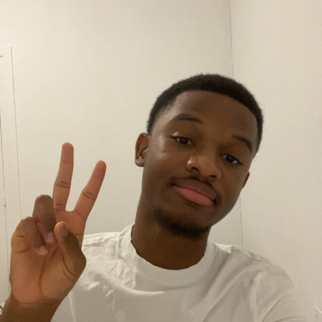 Babysitter in Villeurbanne: Joé