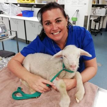 Babysitter Perth: PIPPA