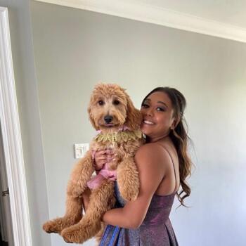 Babysitter in Mississauga: Emma