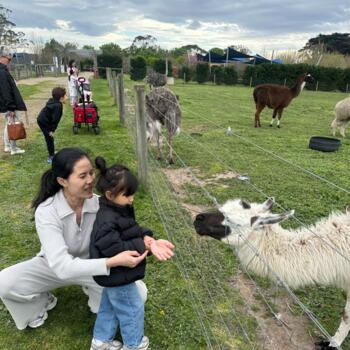 Job de garde d'enfants à Melbourne: job de garde d'enfants Sirinan