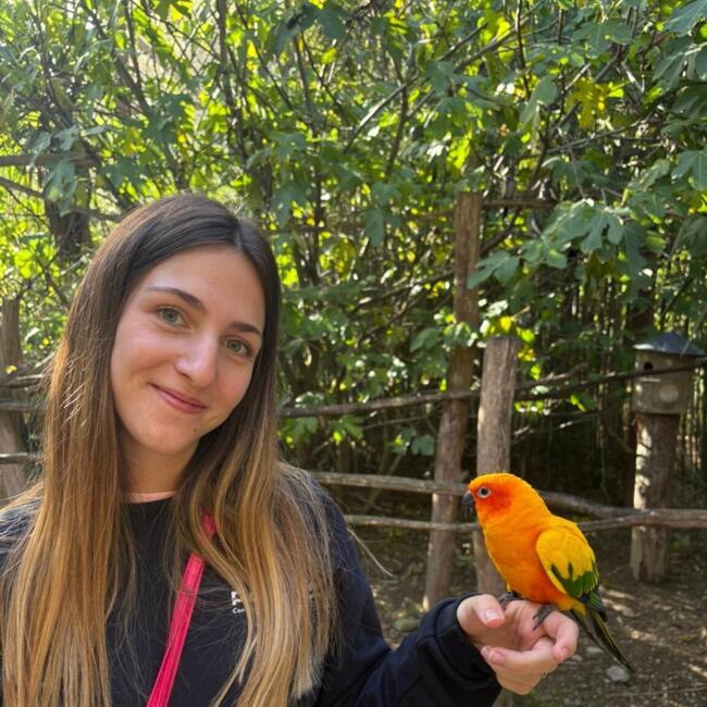 Babysitter in Gradignan: Emma