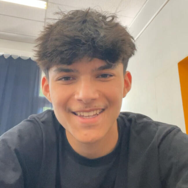 Babysitter in Pessac: Louis