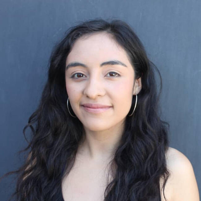 Babysitter in San Pedro de la Paz: Iara