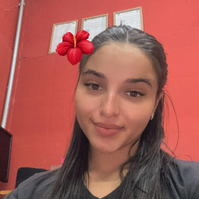 Babysitter in Ribeirão Preto: Millene