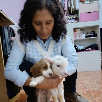 Babysitter in San Bernardo: Candelaria vilcatoma M.