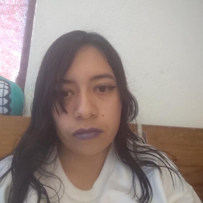 Niñera en San Luis Potosí: Diana Laura