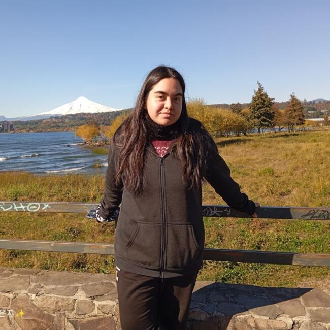 Babysitter in Huichahue (Región de la Araucanía): María Fernanda