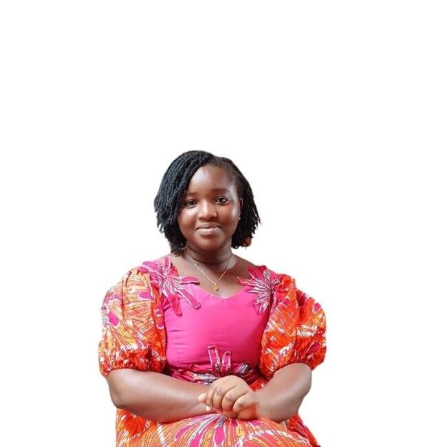 Babysitter in Toulouse: Orlane