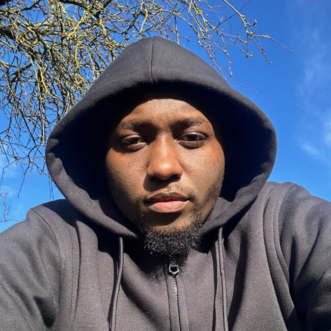 Babysitter in Northampton: Godwil