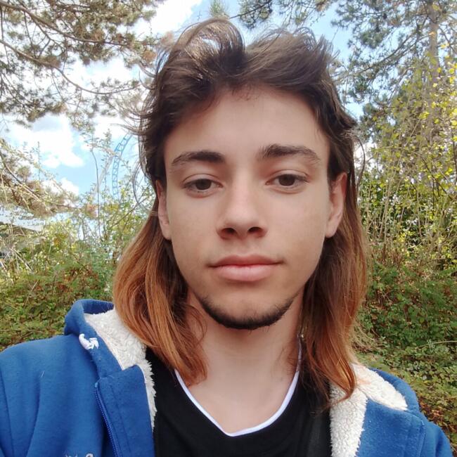 Babysitter in Choisy-le-Roi: Guillian