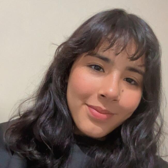 Babysitter in Florianópolis: Nicoly