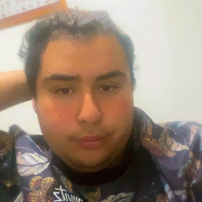 Babysitter in San Bernardo: Nelson